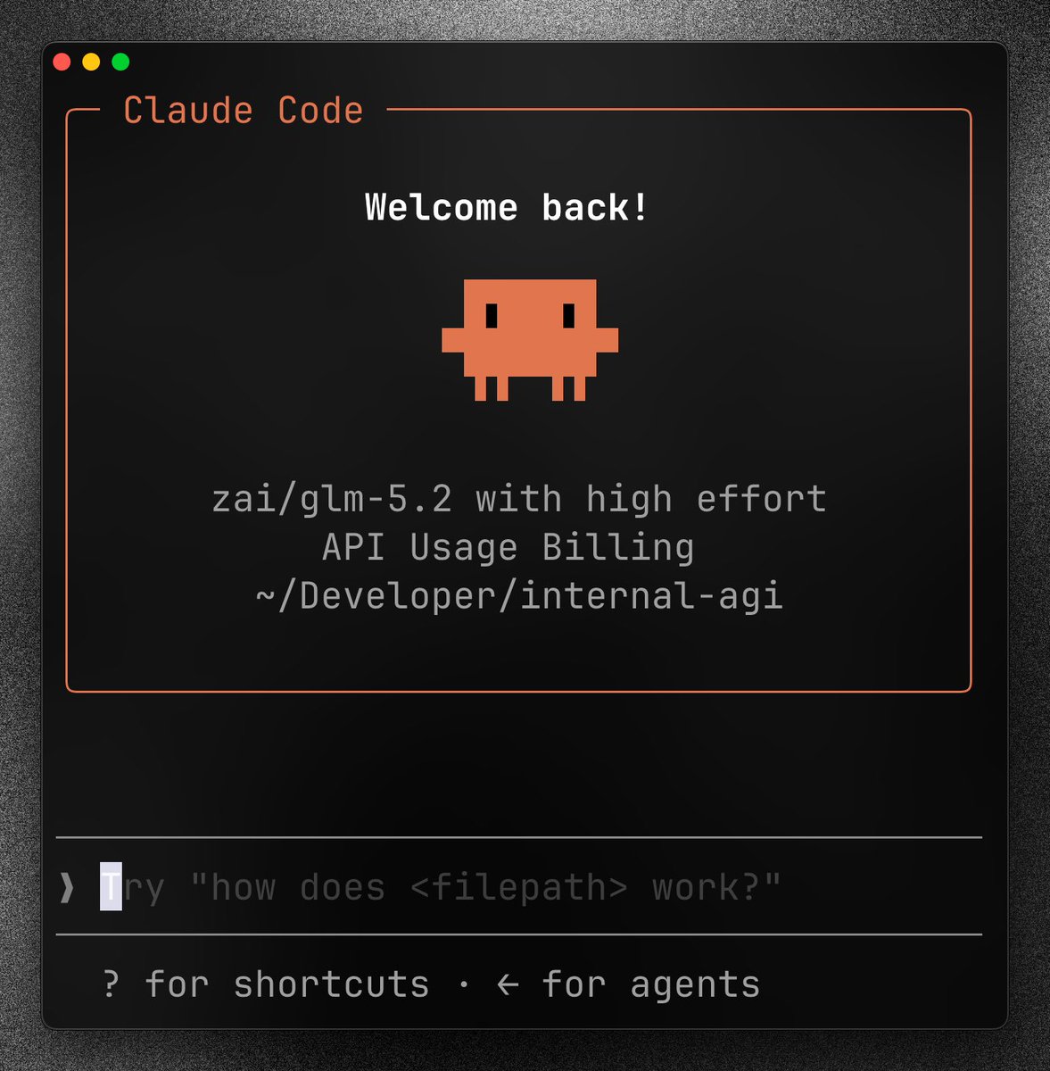 Claude Code
Welcome back!
zai/glm-5.2 with high effort
API Usage Billing
~/Developer/internal-agi
Try "how does <filepath> work?"
? for shortcuts • ← for agents