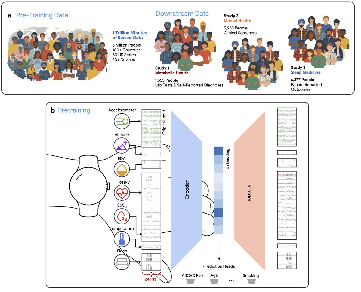 a Pre-Training Data 1 Trillion Minutes of Sensor Data 5 Million People 100+ Countries 50 US States 20+ Devices Downstream Data Study 1 Metabolic Health 1,655 People Lab Tests & Self-Reported Diagnoses Study 2 Mental Health 5,953 People Clinical Screeners Study 3 Sleep Medicine 6,377 People Patient Reported Outcomes b Pretraining Accelerometer Altitude EDA HR/HRV SpO2 Temperature Sleep Original Input Encoder Embedding Decoder 24 Hrs Prediction Heads ASCVD Risk Age ... Smoking