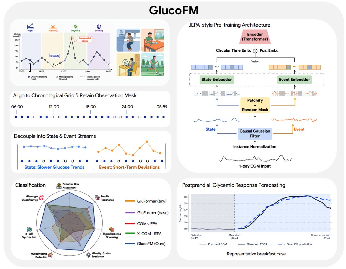 GlucoFM; JEPA-style Pre-training Architecture; Encoder (Transformer); Circular Time Emb. + Pos. Emb.; Fusion; State Embedder; Event Embedder; Patchify + Random Mask; Causal Gaussian Filter; Instance Normalization; 1-day CGM Input; Align to Chronological Grid & Retain Observation Mask; Decouple into State & Event Streams; State: Slower Glucose Trends; Event: Short-Term Deviations; Classification; Diabetes Risk Assessment; Glucotype Classification; Insulin Resistance; Hyperlipidemia Screening; Obesity Status Prediction; β-cell Dysfunction; Hypoglycemia Detection; GluFormer (tiny); GluFormer (base); CGM-JEPA; X-CGM-JEPA; GlucoFM (Ours); Postprandial Glycemic Response Forecasting; Pre-meal CGM; Observed PPGR; GlucoFM prediction; Representative breakfast case