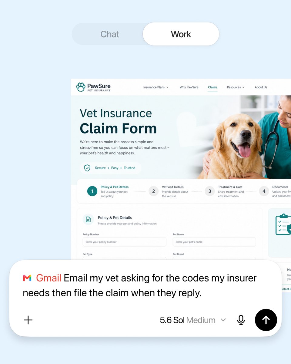 Gmail Email my vet asking for the codes my insurer needs then file the claim when they reply.