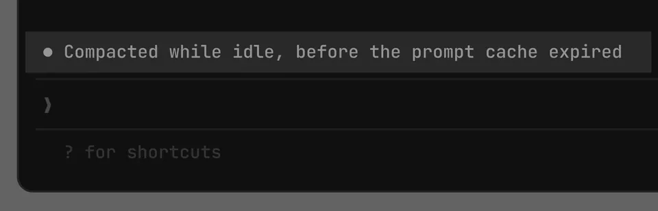● Compacted while idle, before the prompt cache expired
? for shortcuts