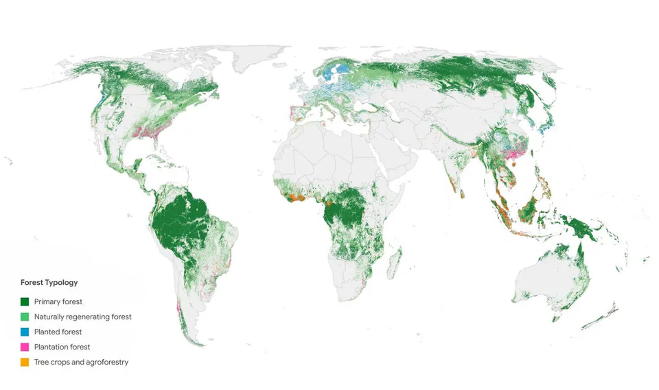 Forest Typology
Primary forest
Naturally regenerating forest
Planted forest
Plantation forest
Tree crops and agroforestry